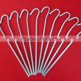 Tent Peg thumbnail-1