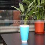 N220 Best Sell Creative Gargle Wash Gargle Cup Couples Toothbrush Cup thumbnail-6