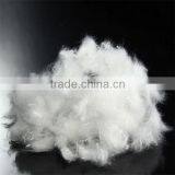 Polyester Staple Fiber thumbnail-2