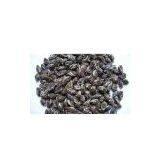 Jas.Phoenix Eyes Wholesale thumbnail-1