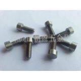 Stainless Steel Screw thumbnail-1