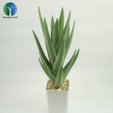 China Wholesale Fake Plastic Aloe Artificial Aloe With Pot