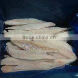 Frozen white fish fillets