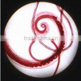 Parasitology Slides, Human Parasitolgy Slides , Biology Parasitolgy Slides thumbnail-1