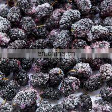 Healthy Taste Good Frozen Mulberry Freeze Mulberry thumbnail-5
