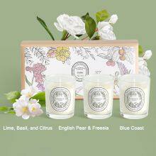 Оптовые заказы подарочных наборов запаховых свечей - варианты по 12/16/36 штук, натуральный соевый воск, идеально подходит для розничных продавцов