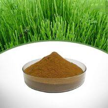 Horsetail Extract thumbnail-1