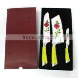 Professional high quality stainless steel knife set