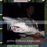 Best Fluorocarbon Bulk Fishing Line Made in Germany 0.10-1.2mm Most Invisible Fishing Line thumbnail-6