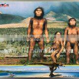 Factoty Promotion Trade Assurance Hot Sale and Popular Simulation Savage Family thumbnail-4