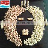 Chinese Particularly Brand Peanut