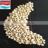 Chinese Blanched Peanut 40/50