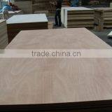 18mm Best Price Packing Plywood Mulitiply Layers Plywood Shuttering Plywood thumbnail-4