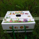 Accept Custom Order and Paperboard Paper Type Printed Fruit Carton Box Apples
