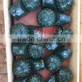 ISO Certificated TCI Roller Cone Palm