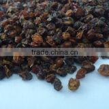 Dried Sea Buckthorn Fruit