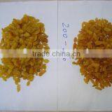 Jumbo Golden Raisin thumbnail-1