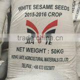 Good Quality Natural White Sesame Seeds thumbnail-3