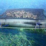 Oyster Breeding Bag Oyster Growing Cage Mesh Plastic Bag thumbnail-2