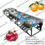 THOYU Brand Pomegranate Cleaning and Grading Machine(0086 15903677328)
