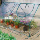 PVC Cold Frame Greenhouse thumbnail-1