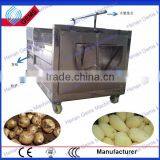 Industrial Stainless Steel Onion Cleaning Machine for Sale thumbnail-2