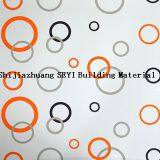 PVC Decorative Ceiling Panel/Ceiling Board/False Ceiling