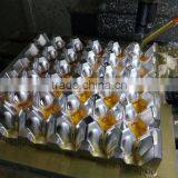 Hot Sale High Quality Egg Tray Mold thumbnail-2