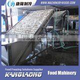 Small Fish Grading Machine thumbnail-2