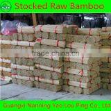 Raw Incense Sticks thumbnail-3