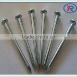 china supply Bright Shining steel Concrete Nails zinc galvanized concrete nails