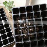 Newest Crazy Selling Black Seedling Tray thumbnail-4