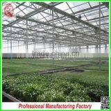 Hard and Durable Steel Profiles Polycarbonate Sheet Greenhouses for Sale thumbnail-5