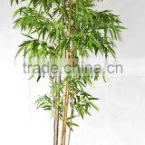 Office Decorative Green Plants thumbnail-5
