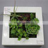 for home garden tiles deco 30*30*7cm paint color indoor artificial succlent boutique plant wall laminate combinations Ejq10 1201