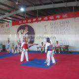 Hot Sale High Quality Odorless Good Price Non Toxic Eva Tatami Puzzle Mat thumbnail-3