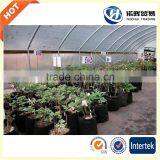 2016 Plant Nursery Bag Customized Felt Plant Pot thumbnail-1