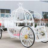 Wedding Horse Carriage White BISINI Horse Equipment(BG11-M072) thumbnail-3
