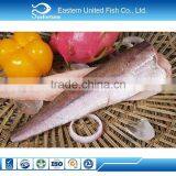 Seafood Export frozen new arrival haddock fish