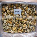 Mussels/seafood Importers thumbnail-1