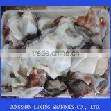 Frozen Giant Squid Neck