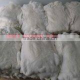 Rex Rabbit Skins thumbnail-1