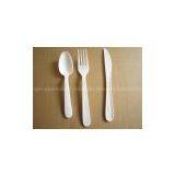 Disposable Plastic Cutlery thumbnail-2