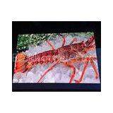 3G P6 LED Display AC 110V / 220V LED Wall Display Screen For Restaurant thumbnail-1