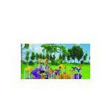 Plastic Slide Forest