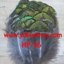 Golden Peacock Body Feather for Wholesale thumbnail-1