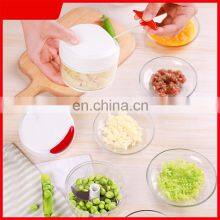 Cost Effective German High Quality Multifunction Wireless Blender Hand Held Food Processor Manual Vegetables Food Chopper thumbnail-5