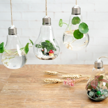 Home Decoration Hand-blown Hanging Mini Indoor Bulb Shaped Glass Plant Terrariums Vase thumbnail-3