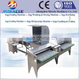 Egg Washing and Grader Machine, Chicken Egg Drying and Coding Machines, Goose Eggs Weight Grading Sorter Machine