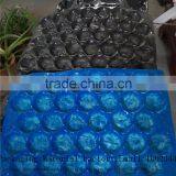 Customized Compartment Plastic Blister Packaging Tray for Fruit and Vegetable Packing thumbnail-3